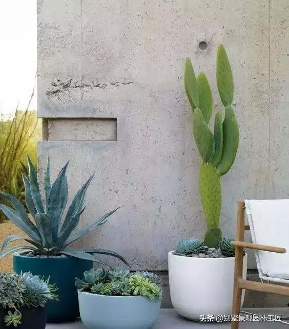 清灰色调的简奢别墅庭院设计，一面素实水泥墙，美了一个院子