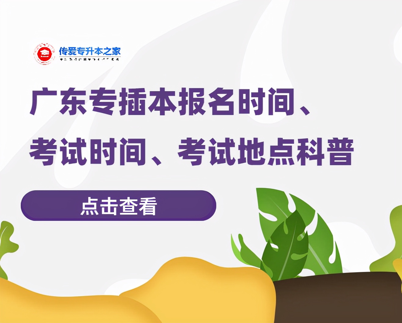 广东专插本考试在哪里考（广东专插本考试地点怎么安排）