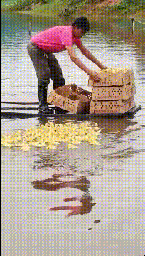 “假如你被关进精神病院，请用一句话证明自己不是”！神评太逗了