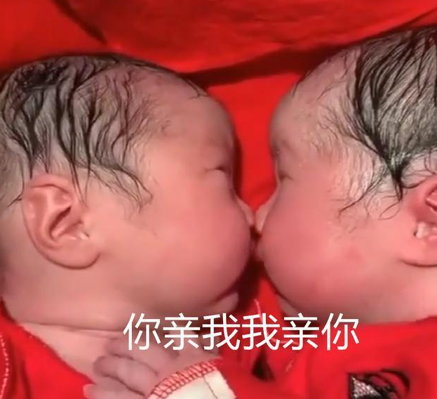 龙凤胎出生20分钟，妹妹依偎哥哥，轻语暖心：“哥，我们永远在一起。”