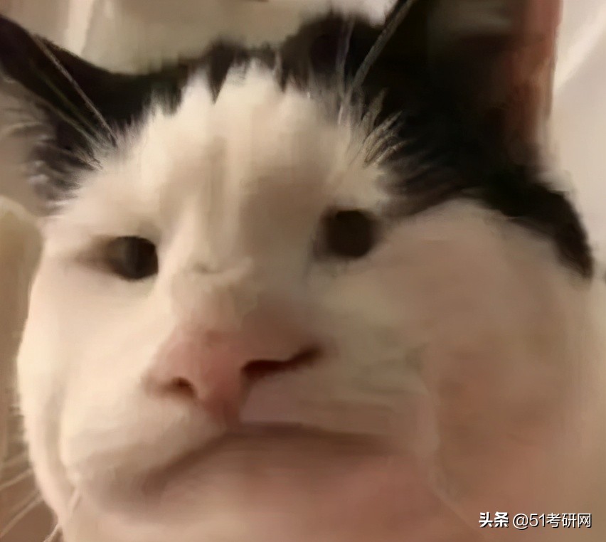 今年考研“卷王”专业！太卷了，复试线400+，高分调剂没机会