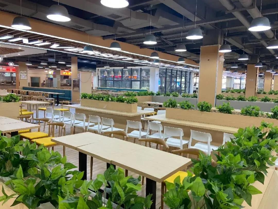 坐拥“网红”餐厅、“超壕”宿舍，用升降机搬行李！这所大学“火”了！