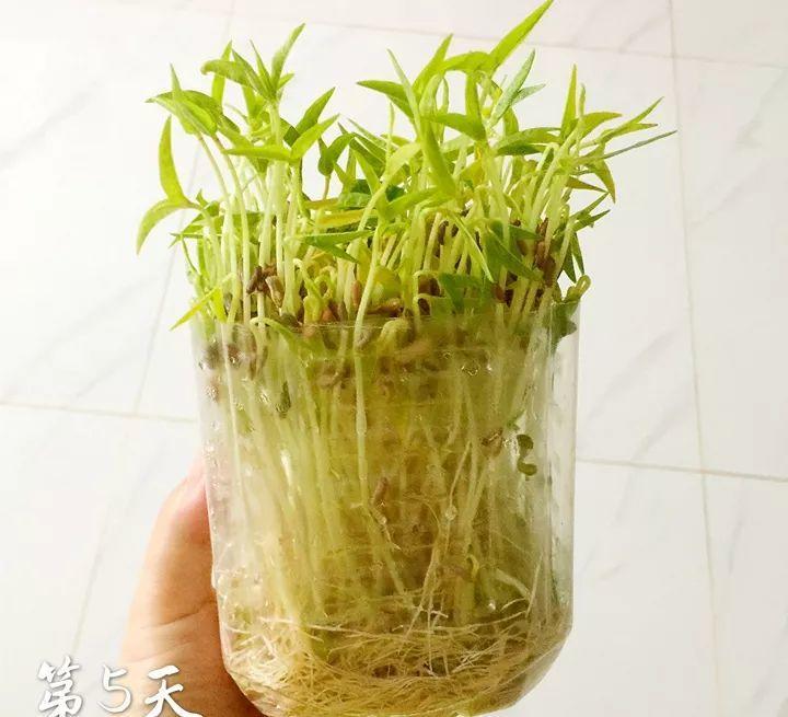 ëôԲĻ(huang)ëԱɻƶ-13ͼƬ-Ʒ(wang)