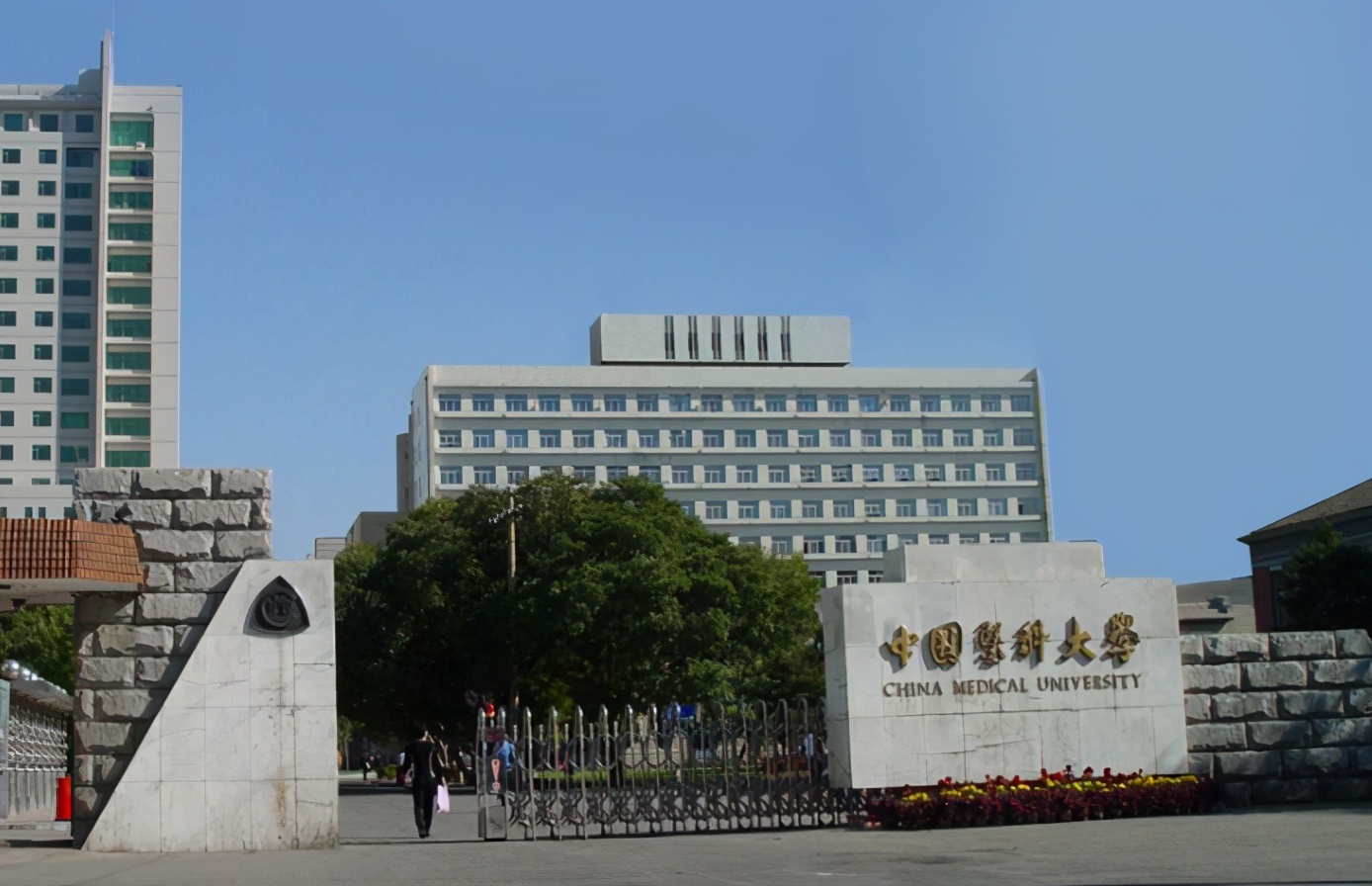 211大学和985大学区别(211大学和985大学的来历)