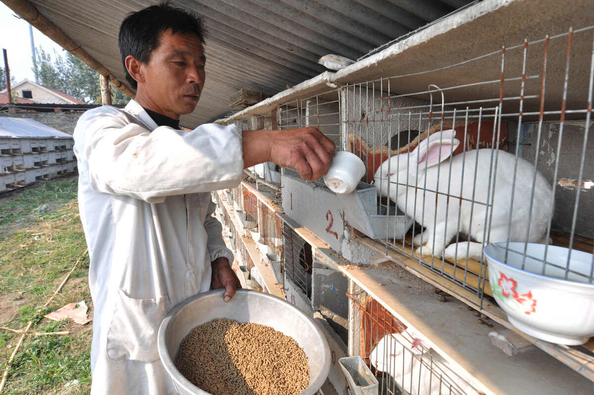 农业合作社注册,农业合作社注册资金多少钱