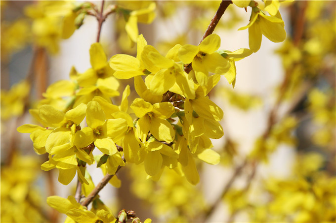 兰州大学2018理科各省录取线