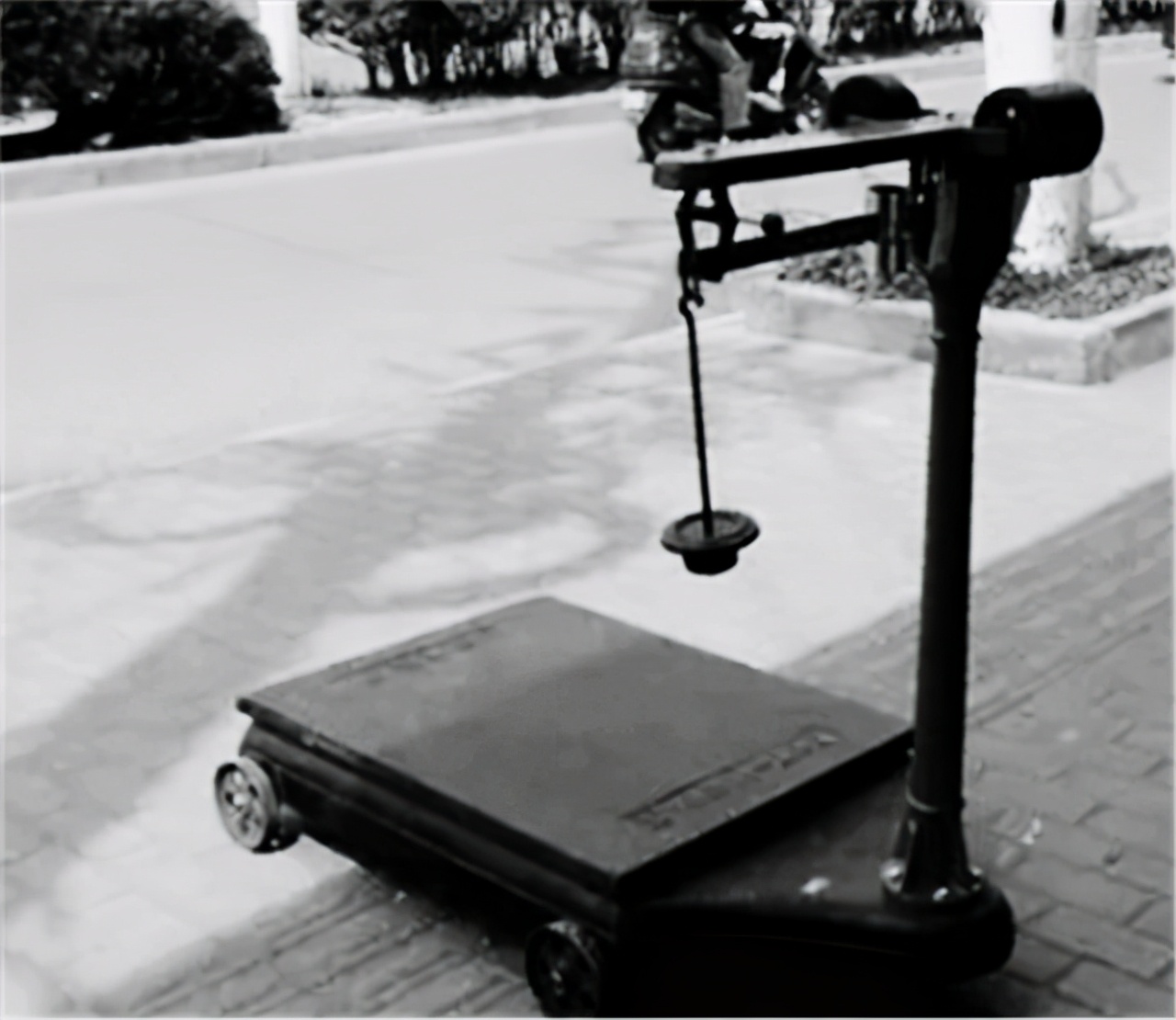 �������Ӳ캣�����ӣ�����սʿ�Ļ�ʳ�������쵼���㲻������