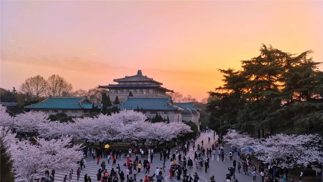 为这场直播，武大派出了“神仙阵容”！看过的都说棒！