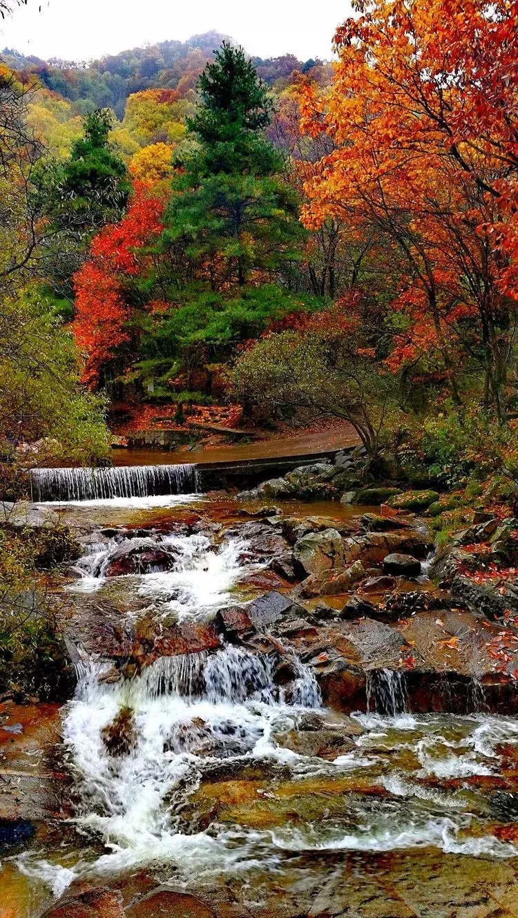 中国醉美秋色在秦岭,2条自驾路线解锁最绚烂秋景,10月最美