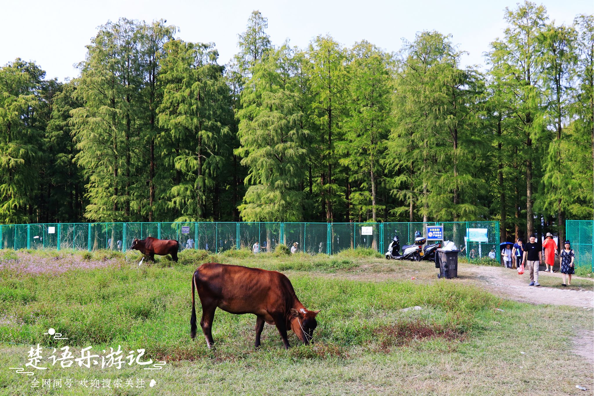 四明山哪个地方好玩(宁波四明山里这个网红景点到底有多美？带上颜值和相机，拍就完了)