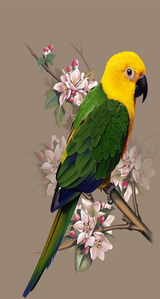 壁纸/千里莺啼绿映红,水村山郭酒旗风