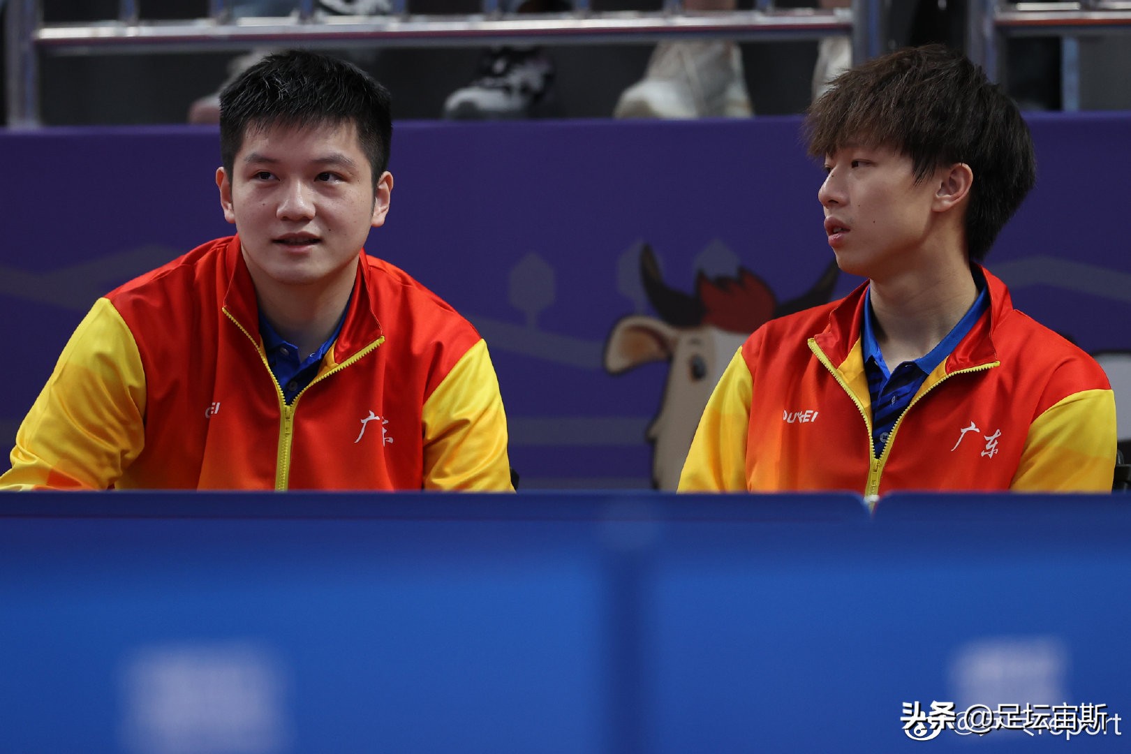 全运会乒乓球：马龙樊振东均拿2分，2大豪门晋级男团8强，冲冠军