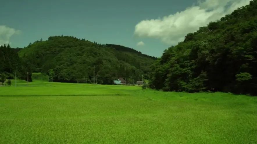 豆瓣评分9.0的电影《小森林》——东京霓虹外的自留地