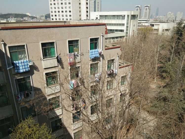 梦想花开，走进山东财经大学的春天！