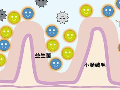 益生菌，到底要不要给宝宝补？