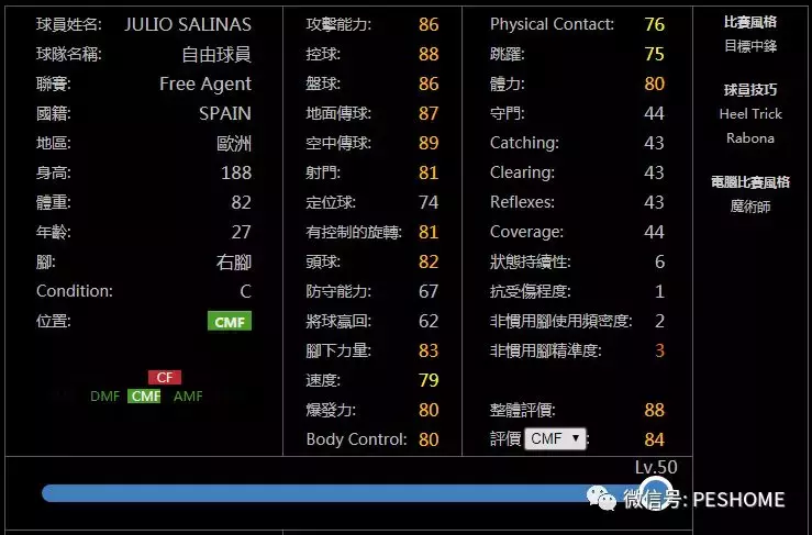 实况足球2015大师联赛(实况足球系列曾经拥有却失去授权的57名传奇球星！含大罗、巴乔！)