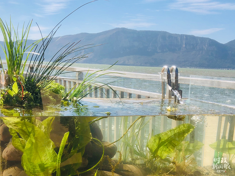 时政新闻眼丨习近平在昆明考察，他关心着这些大事