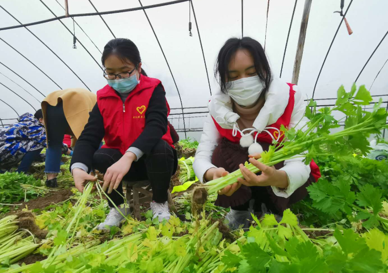 鄉鎮公務員實現“逆襲”，薪資待遇將超縣城公務員，鐵飯碗更鐵了