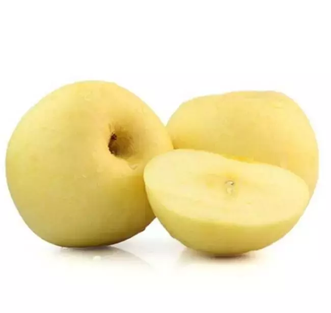 黄金维纳斯苹果今日价格「黄金维也纳苹果」