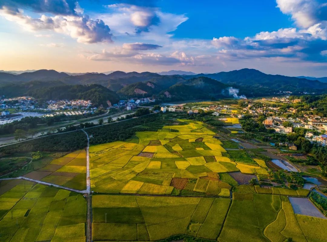 广东省大埔县 广东省大埔县的历史-朝阳百科