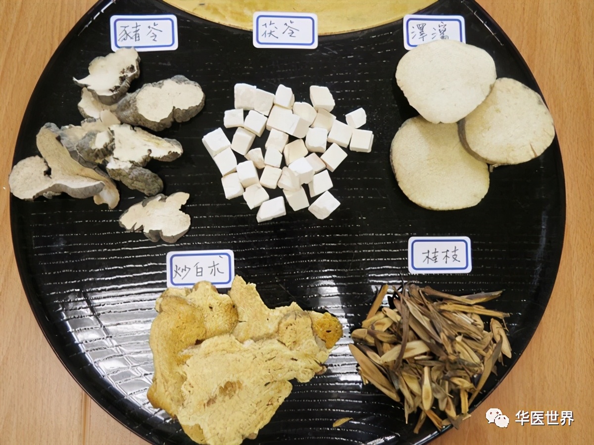 陈明教授：活用《伤寒》五苓散