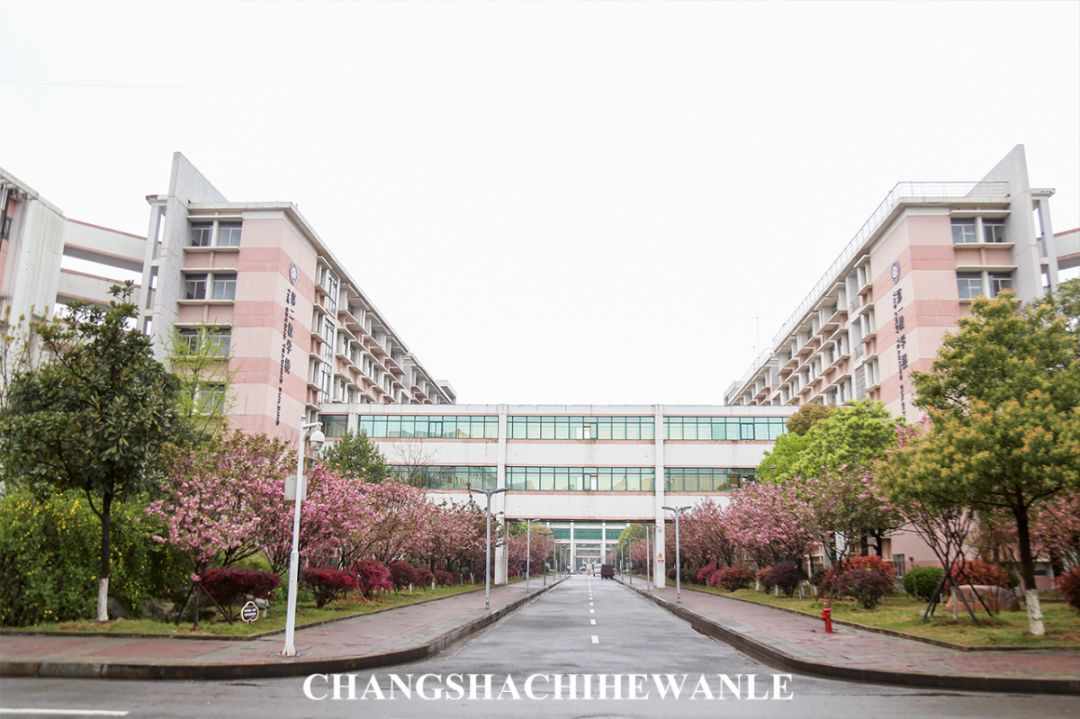 下一站：湖南中医药大学