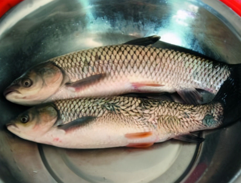 腌咸鱼时，别直接抹盐腌，多加1个步骤，咸鱼咸香入味，更易储存