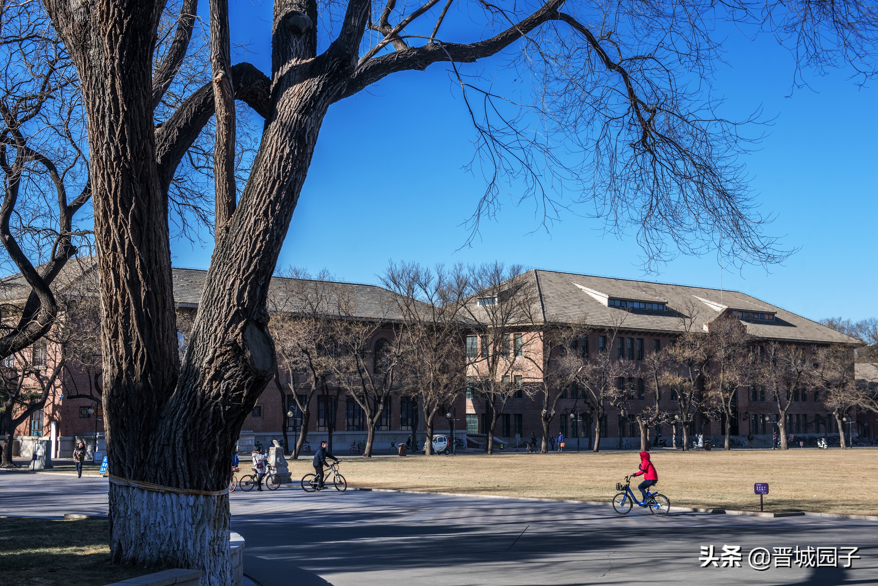 冬日徜徉清华园 观赏清华大学早期建筑 寻觅先哲的奋斗足迹