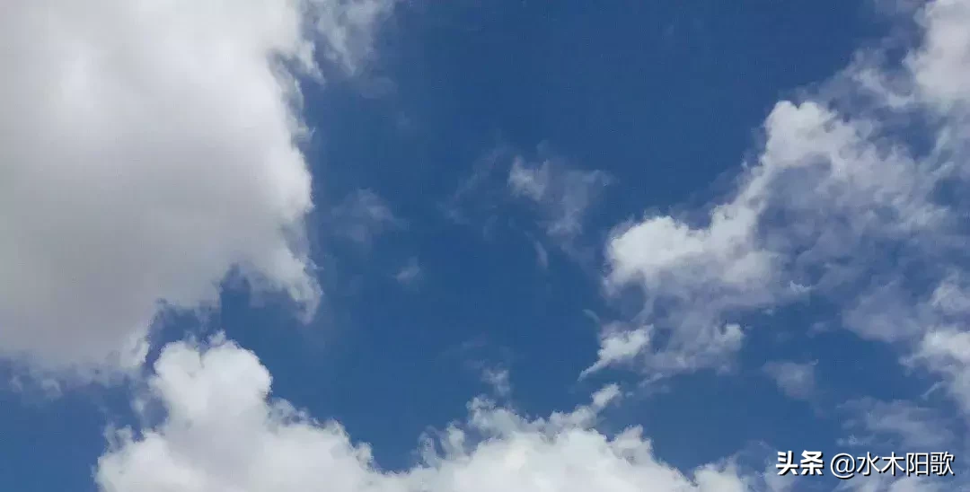 最全：有关增值税的账务流程处理