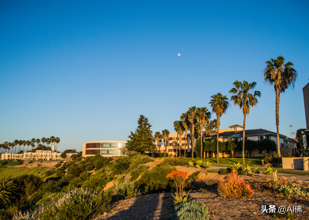 美国50所在大城市的最好大学