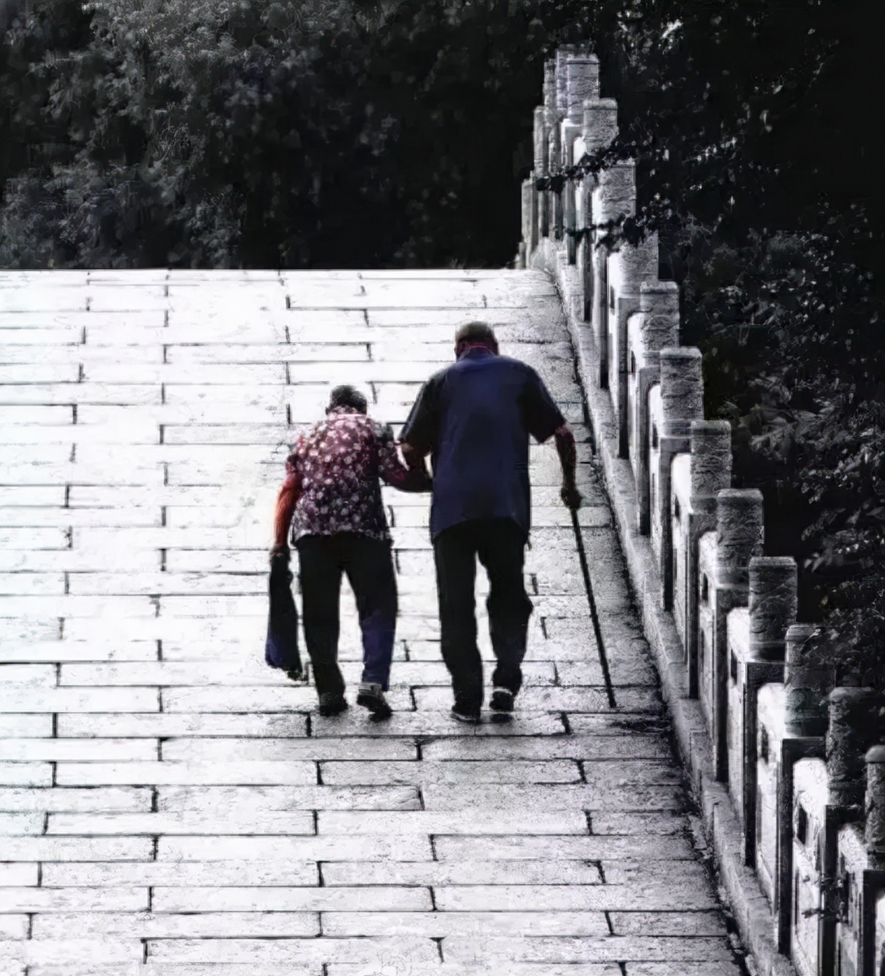 陪父母游中国：8大暖心旅游胜地，共度温馨时光