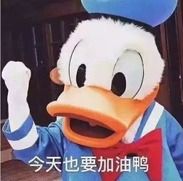 趣味巡演之路，闪耀菲梦之星，一起坚持快乐与梦想吧！