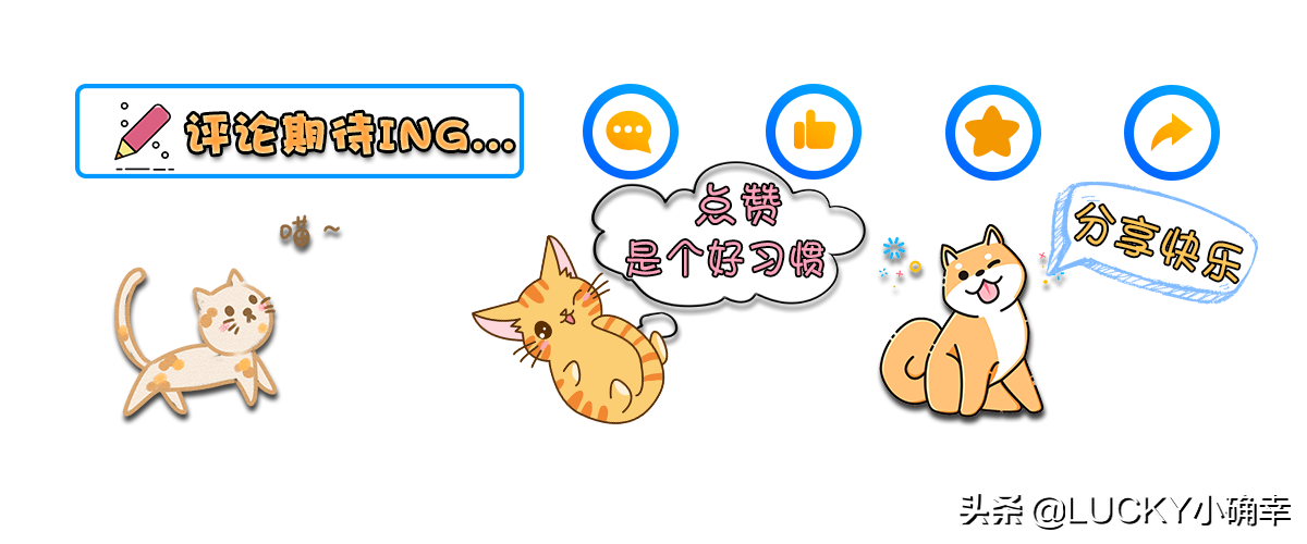 你错了！猫咪抓挠受伤，3步法正确应对，学会了吗？