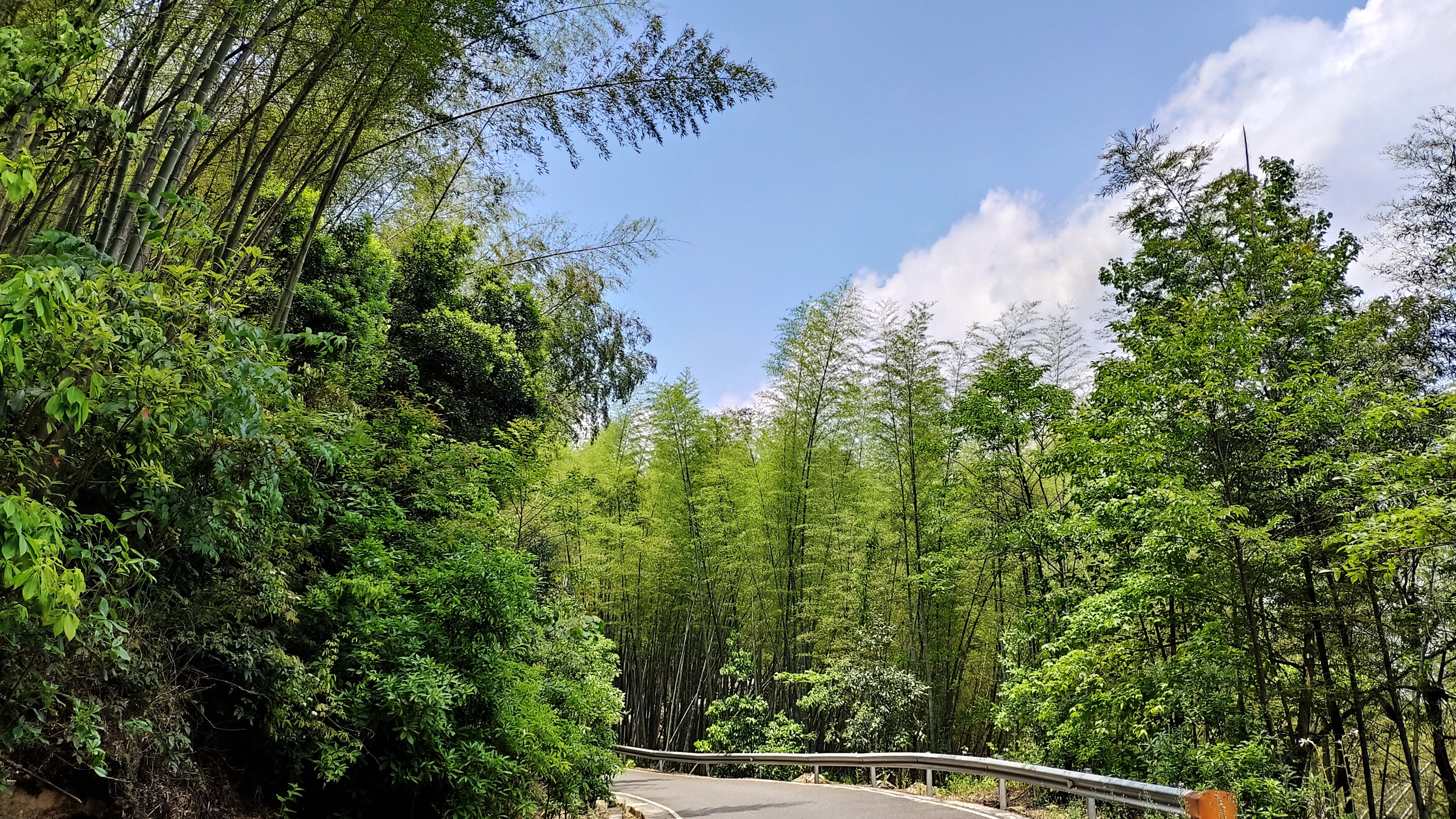 兰溪自驾游哪里好(离城市最近的国家森林公园！崇义阳明山是一个自驾游的好地方)