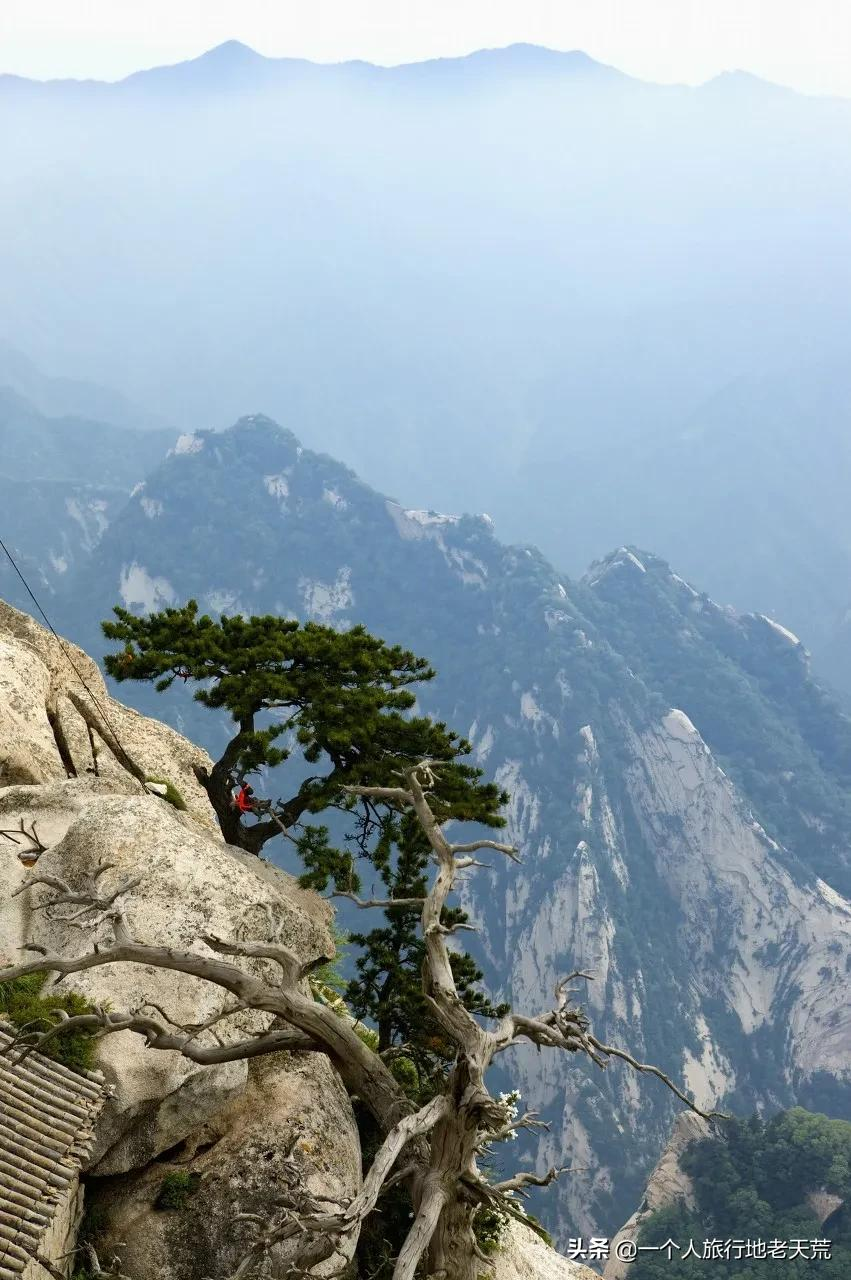 国内必去的50个地方(此生必去的国内旅行胜地)(图34) 国内必去的50个地方,去过38个不枉此生,你去过几个