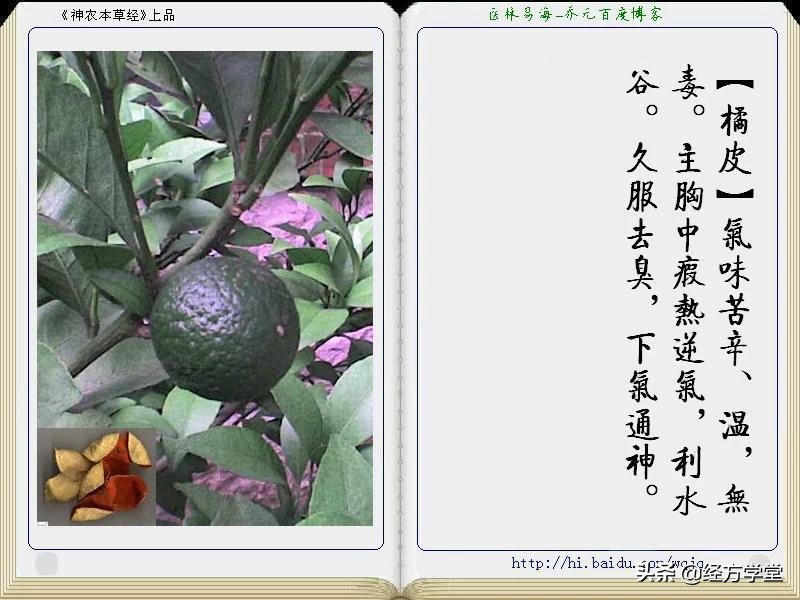 《神农本草经》全册图文解析 建议收藏