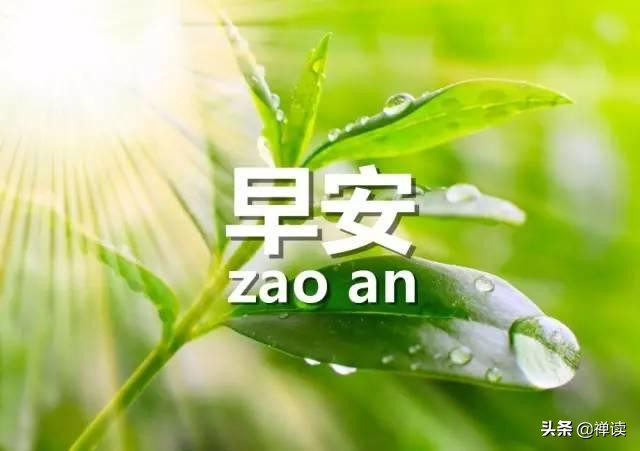 早安：在人生的舞台上，优雅起舞，每一刻都是属于自己的高光时刻。