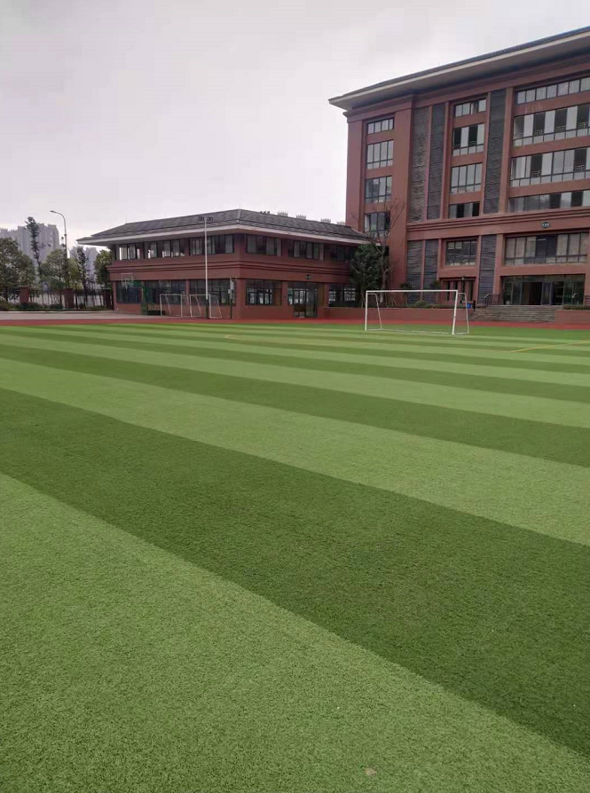 成都教科院附属小学学区房，能买吗，怎么买？看完全明白了