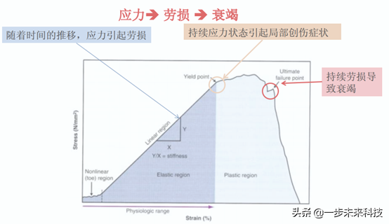 为什么nba鞋垫比鞋贵(生物力学定制鞋垫，NBA比欧洲足球多的一件防疫“利器”。)