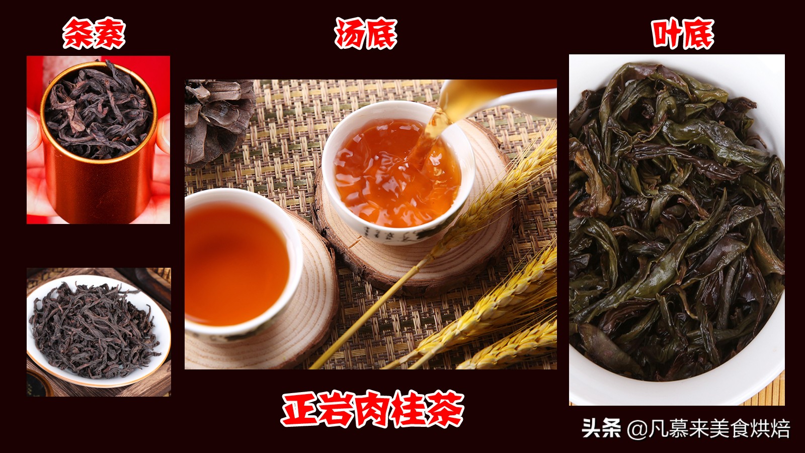 肉桂茶是什么茶种（肉桂茶日常饮用要注意这4项）