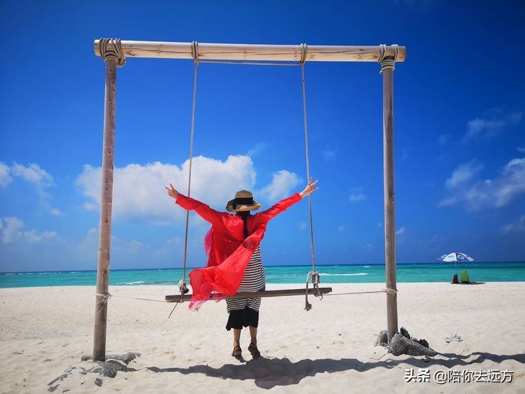 西沙~南海中的一片莲