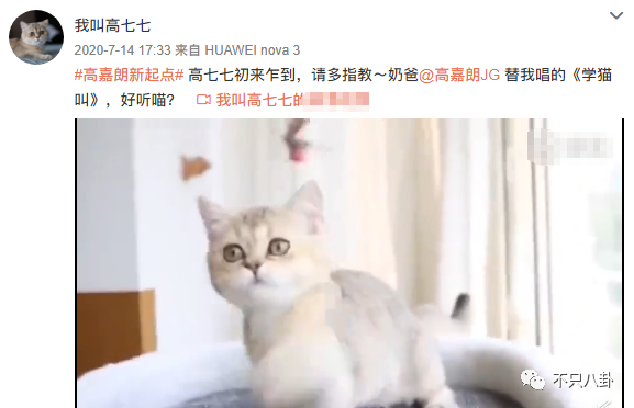 连环暴击！这真的是最惨的一次“塌房”吧？