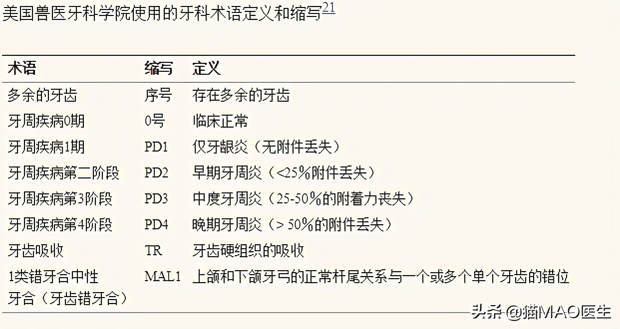 口腔中超和是什么时候(缅因猫多发一些牙齿疾病？这些临床病例带你更加了解猫咪牙科)