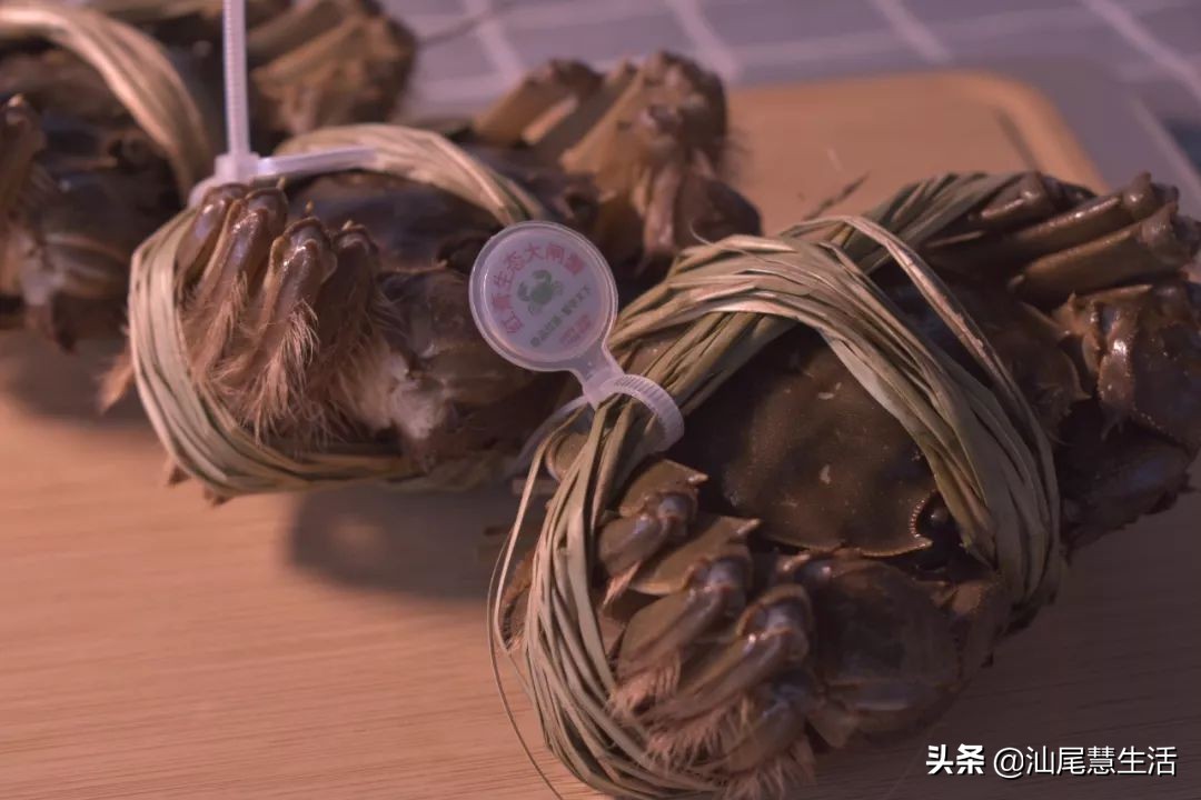 秋风起，蟹脚痒；菊花开，闻蟹来