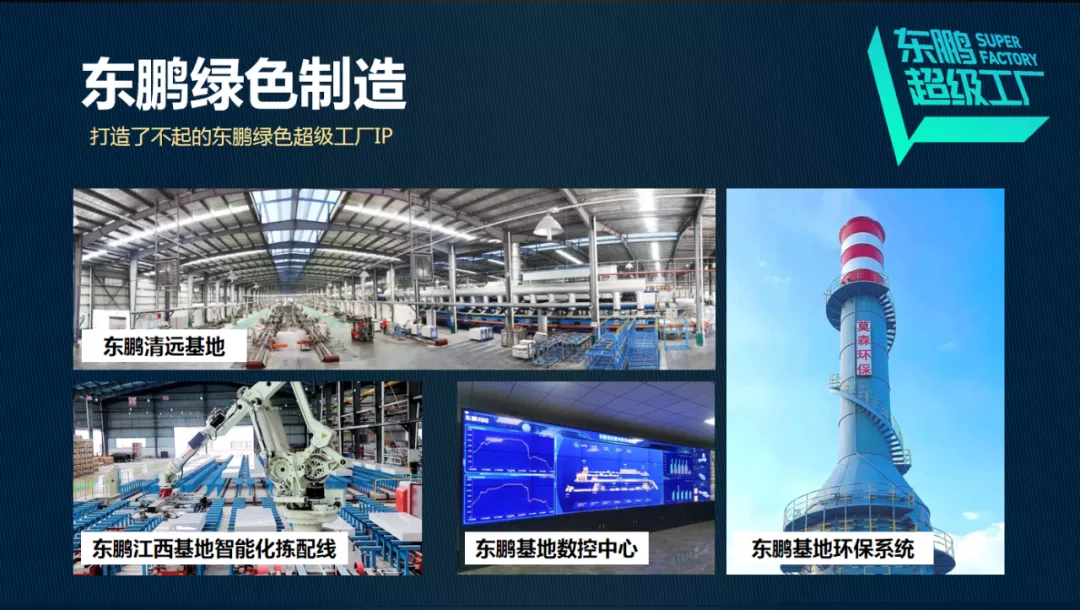 东鹏控股何颖:向善发展,东鹏推动低碳可持续发展战略