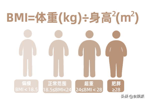 标准腰围(最新腰围标准出炉，快看看你达标了没)