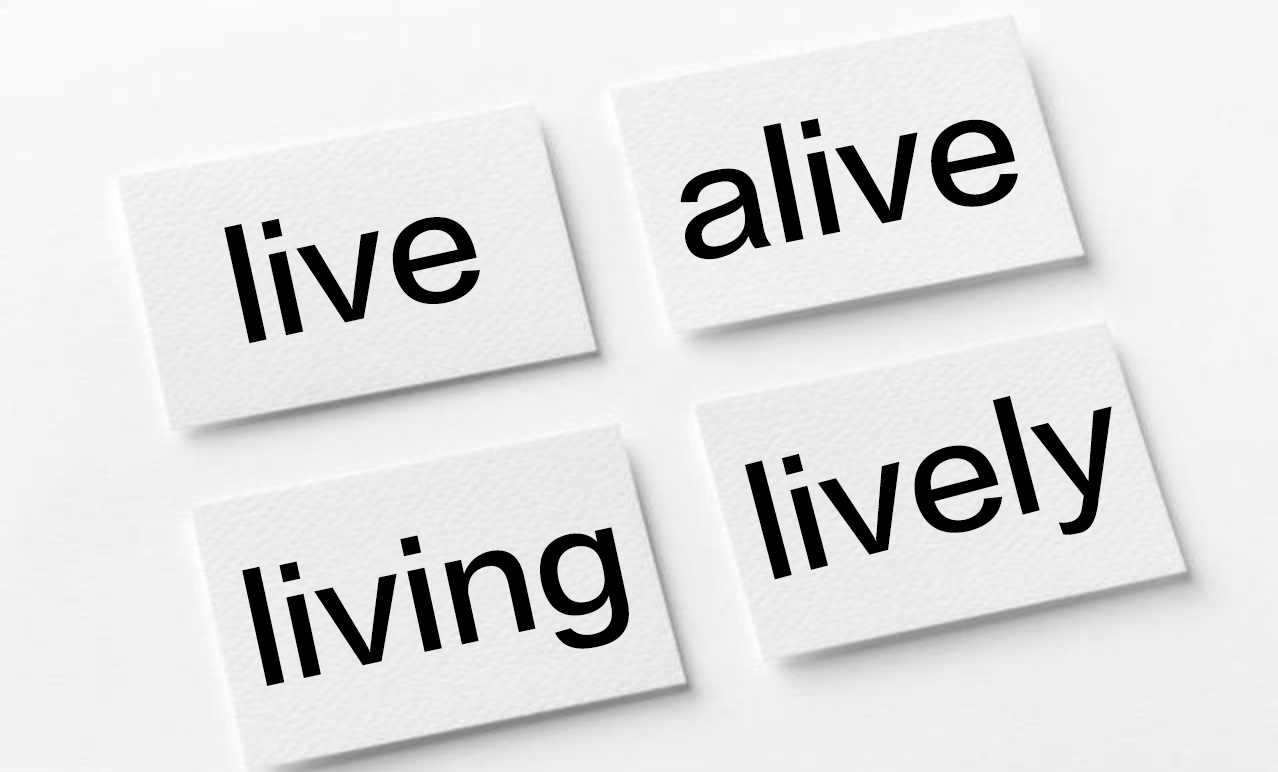 live怎么读(你真的会区分live、life、alive、living的用法吗？)