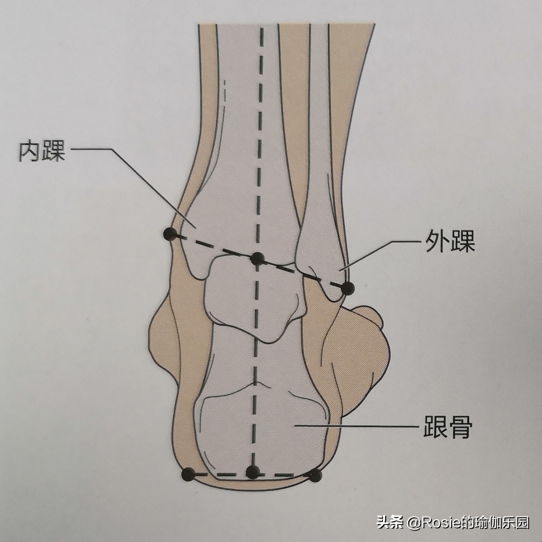 左脚鞋子外侧磨损严重(鞋子外侧易磨损走路爱扭脚？坚持4个动作，调步态去慢痛体态优雅)