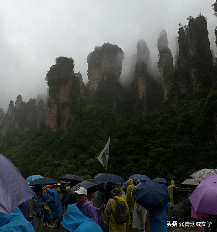 雨中神怡张家界，飞天索道奔险峰