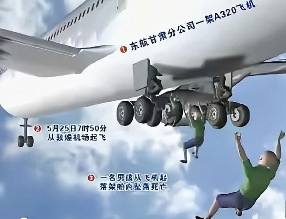 2004年，两少年扒上飞机起落架：一个被风吹下飞机，一个艰难幸存